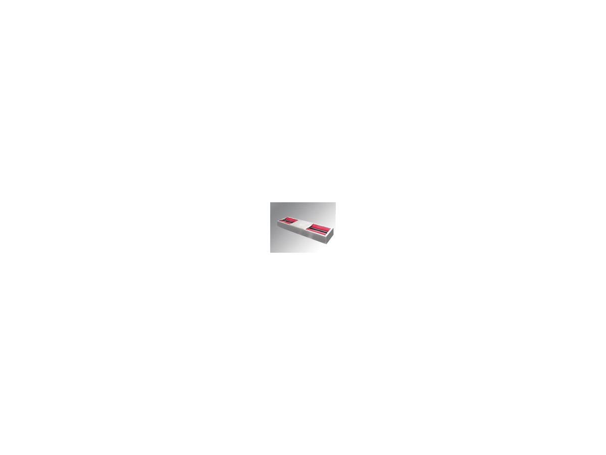 Jeu de rouleaux renforcé RS 2 - charge 4'000 kg / puissance 2 x 4 kW
