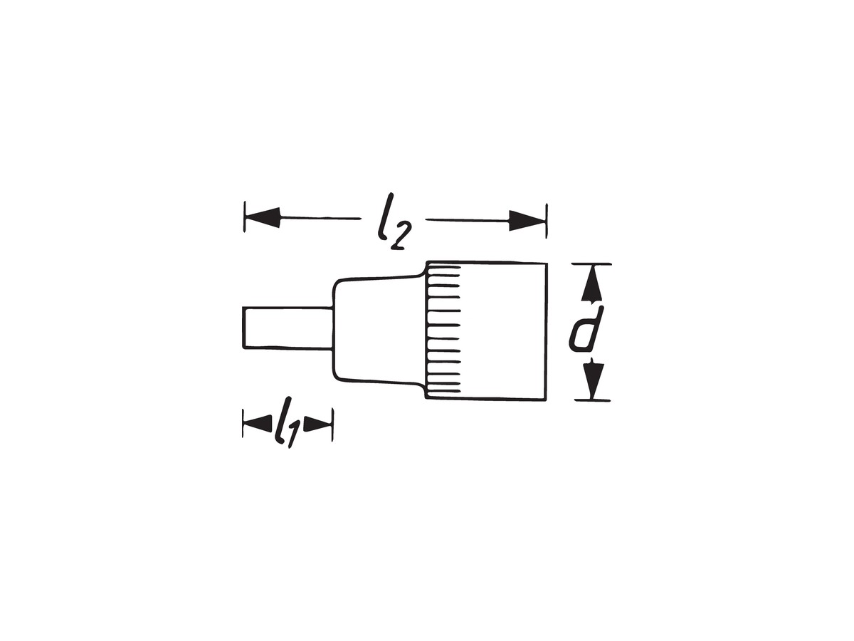 Insert Torx T20 HAZET