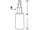 Douille Torx T30 longue