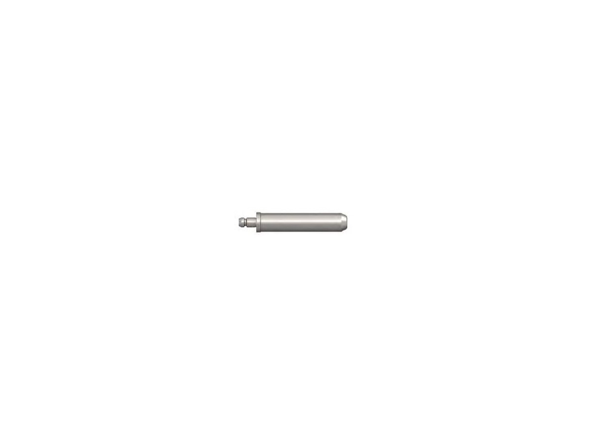 Zentrierbolzen 100 mm - steckbar, gefedert
