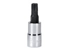 Torx Nuss  T30