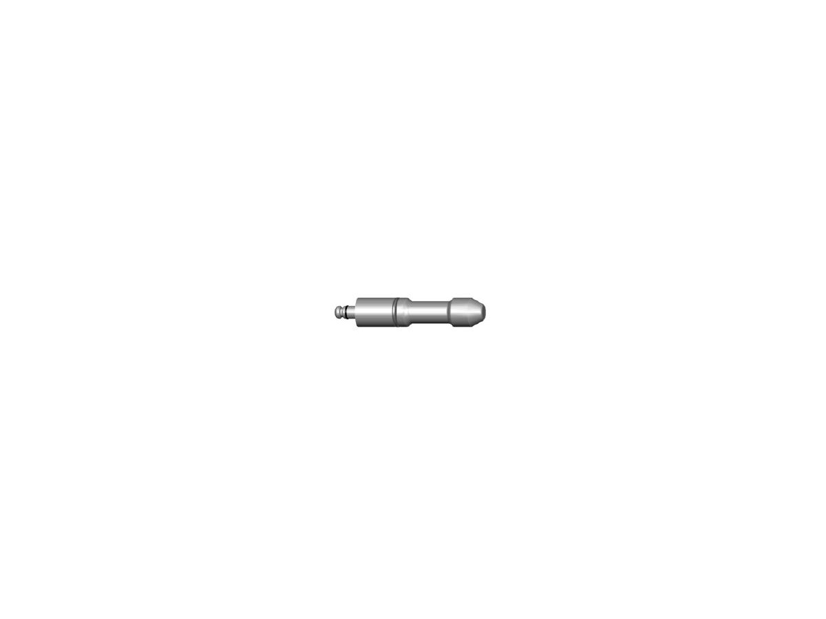 Zentrierbolzen 100 mm für WORLDKIT - steckbar, gefedert