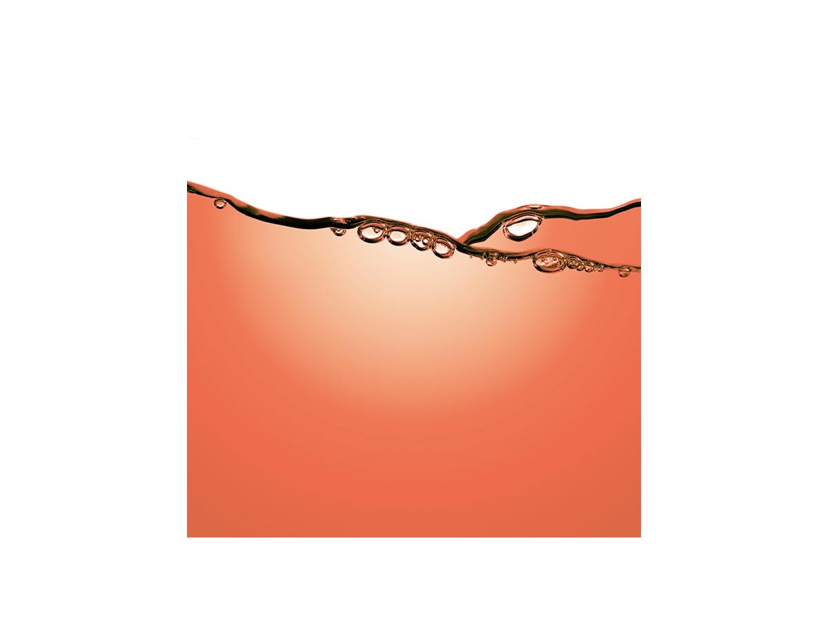 ESENS Rain Wax Plus - High-Level Wachs mit Regenabweisermittel